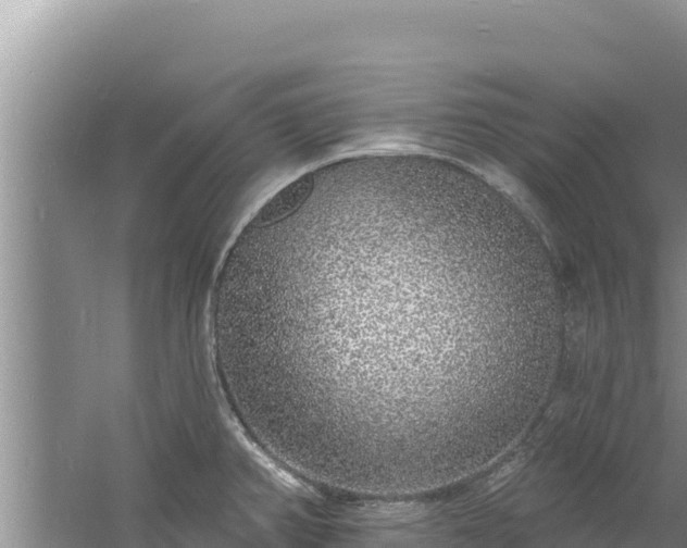 X0000060811382200511171257