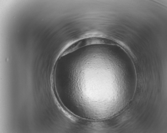 X0000060811383200511171257