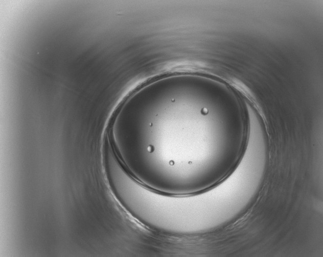 X0000060811384200511171257