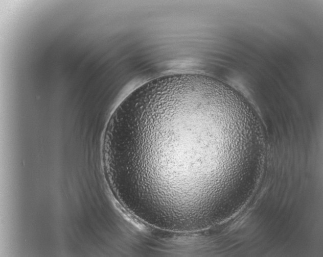 X0000060811386200511171257