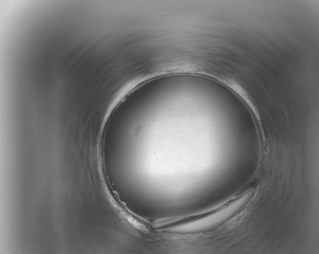 X0000060811389200511171257