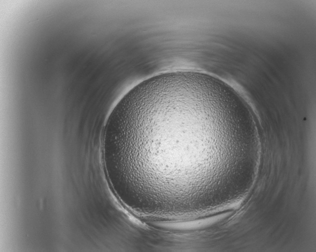 X0000060811390200511171257