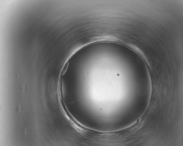 X0000060811391200511171257