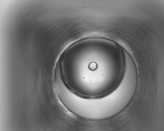 X0000060811392200511171257