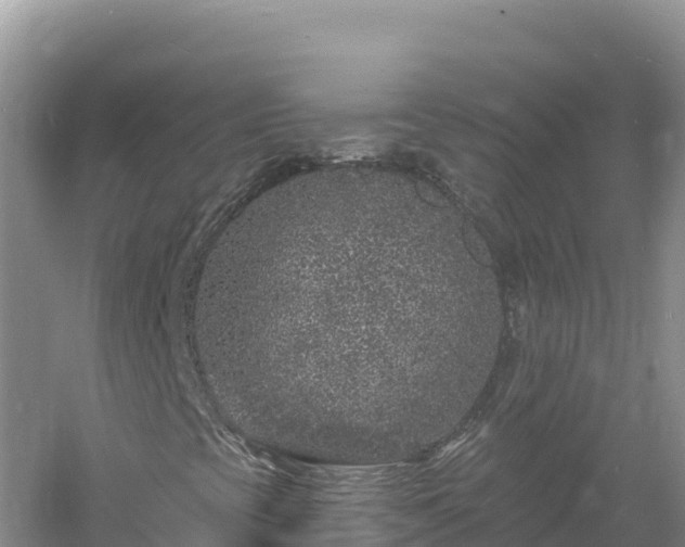 X0000060811393200511171256