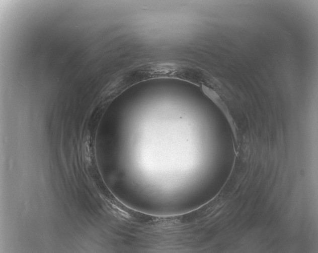 X0000060811394200511171256