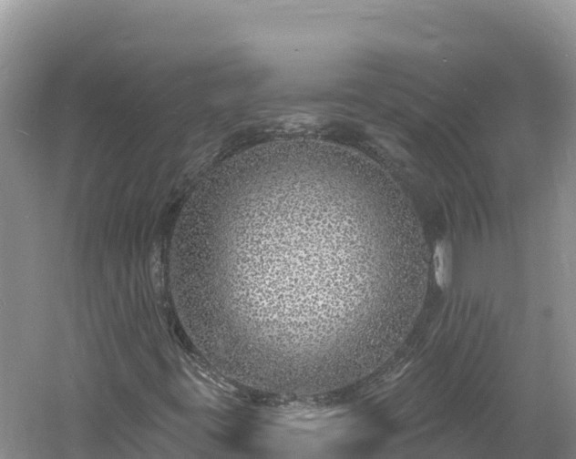 X0000060811395200511171256