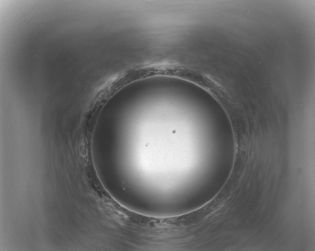 X0000060811398200511171256