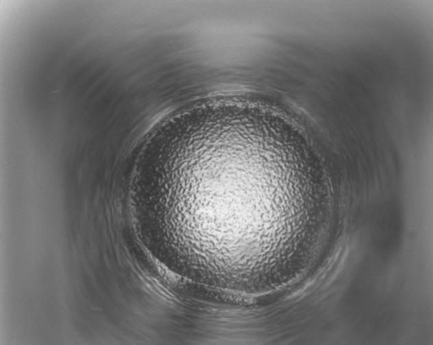 X0000060811401200511171256