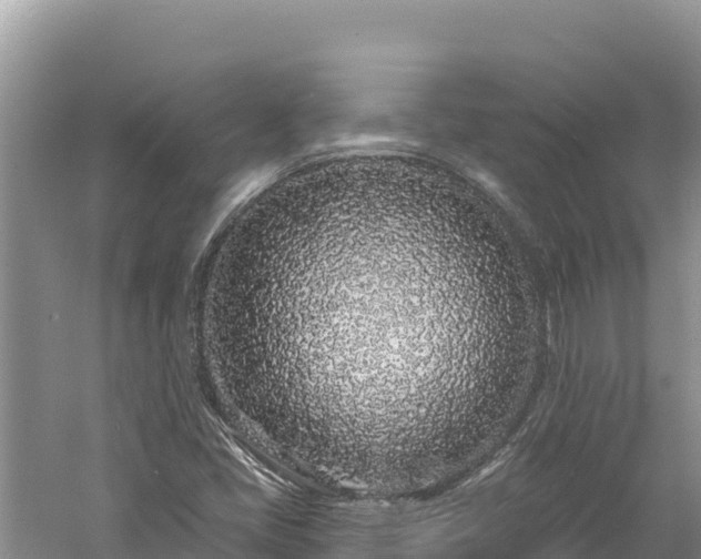 X0000060811405200511171256