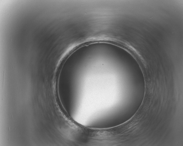 X0000060811416200511171256