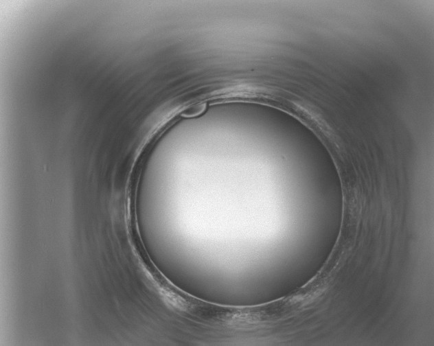 X0000060811418200511171256