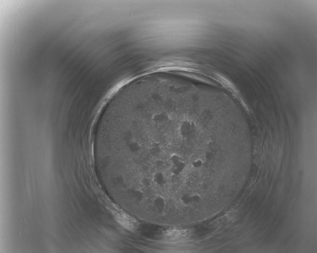 X0000060811419200511171256