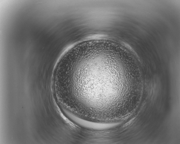 X0000060811421200511171256