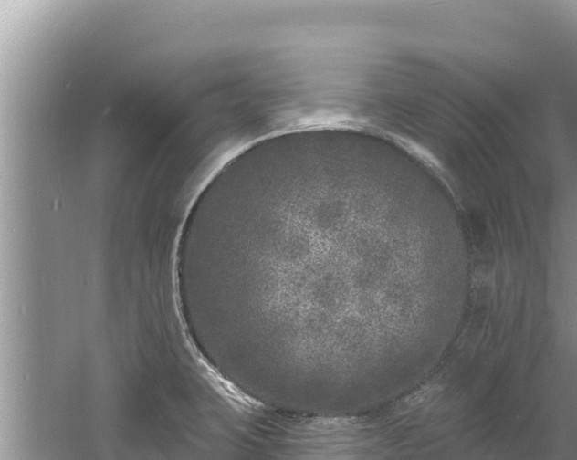 X0000060811423200511171256