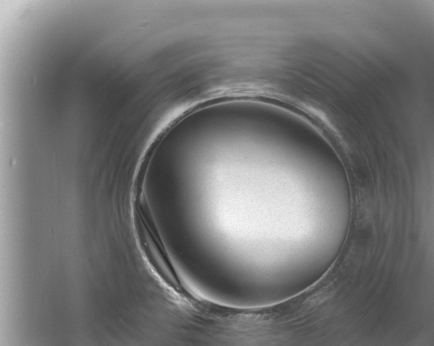 X0000060811424200511171256