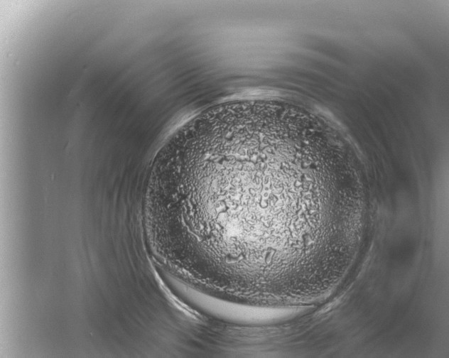 X0000060811425200511171256