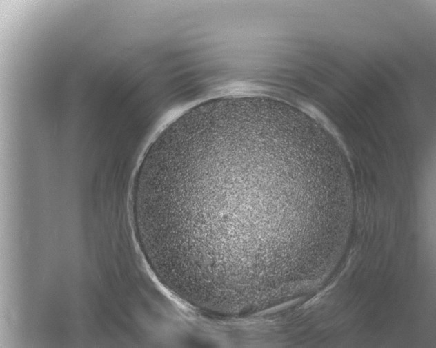 X0000060811429200511171256