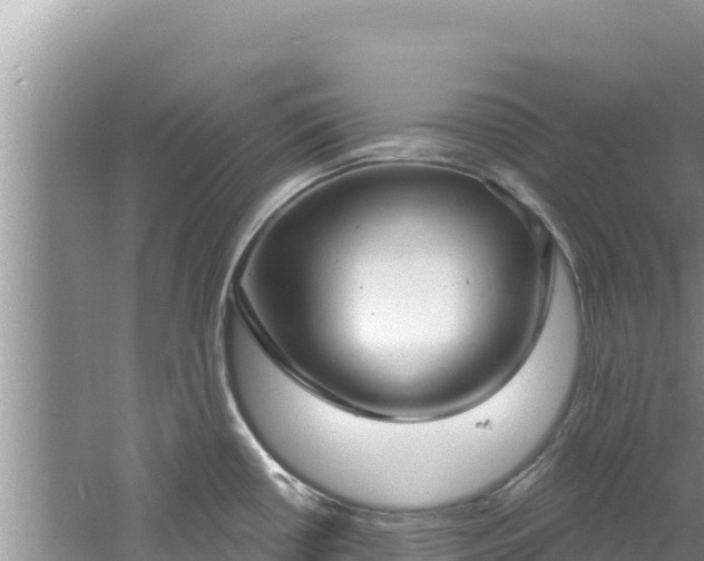 X0000060811434200511171256