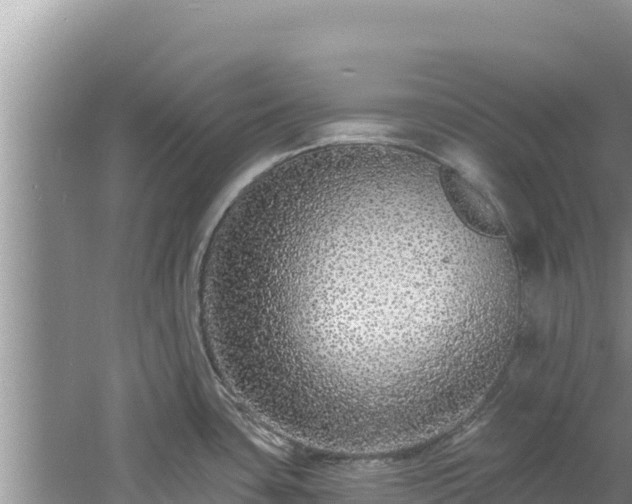 X0000060811435200511171256