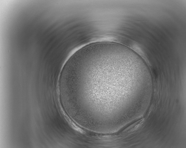 X0000060811436200511171256