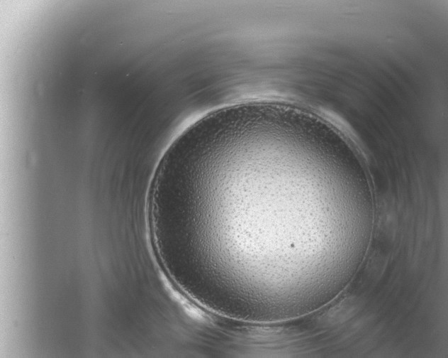 X0000060811439200511171256