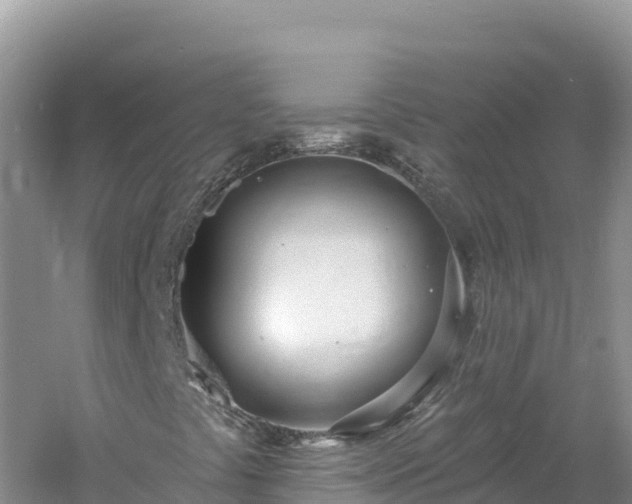 X0000060811441200511171256