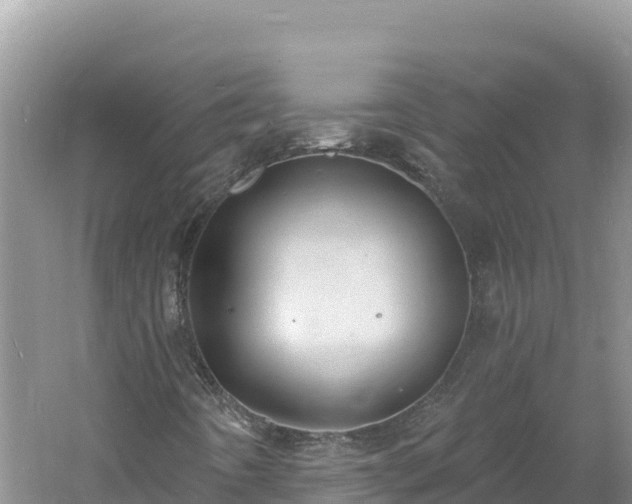 X0000060811442200511171256