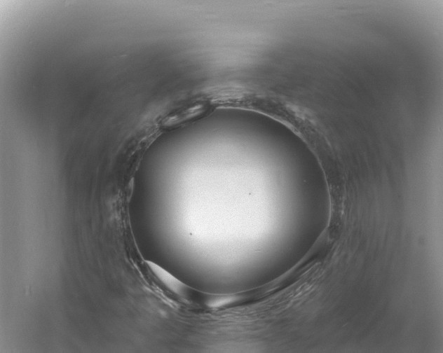 X0000060811445200511171256