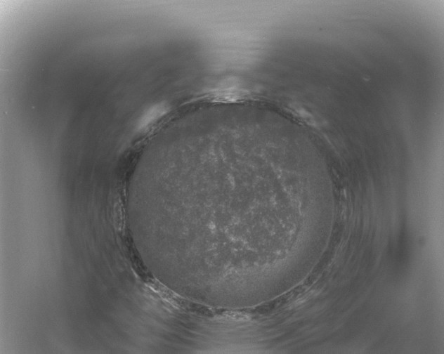 X0000060811446200511171256