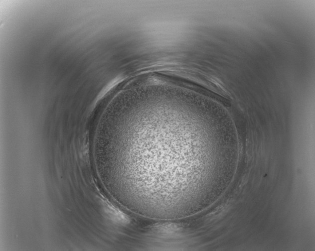 X0000060811450200511171256