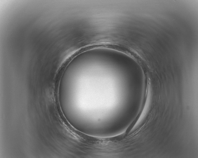 X0000060811452200511171255