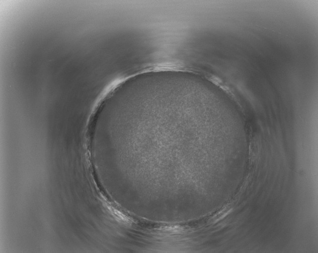 X0000060811454200511171255