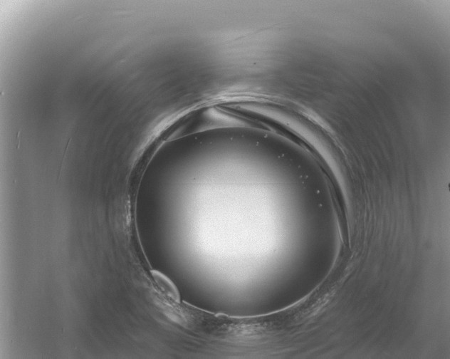 X0000060811461200511171255