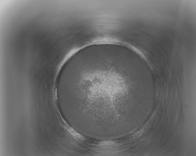 X0000060811462200511171255