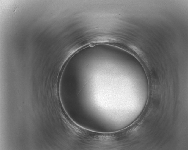 X0000060811465200511171255