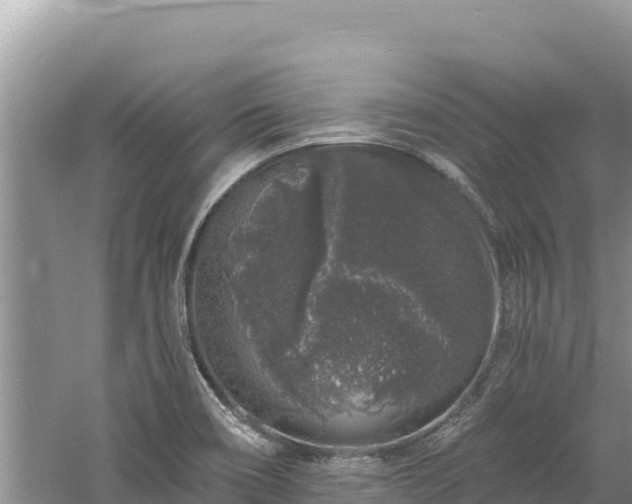 X0000060811466200511171255