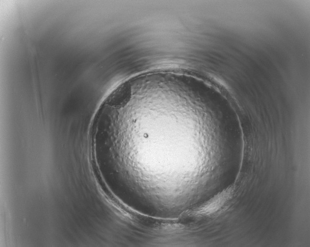 X0000060811467200511171255