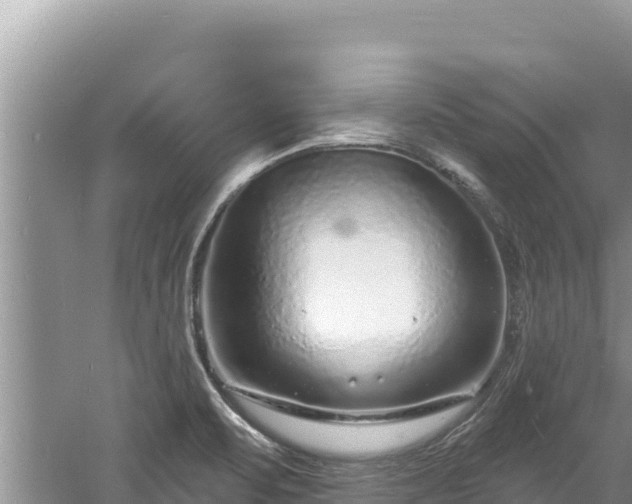 X0000060811471200511171255