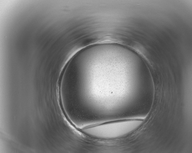 X0000060811476200511171255