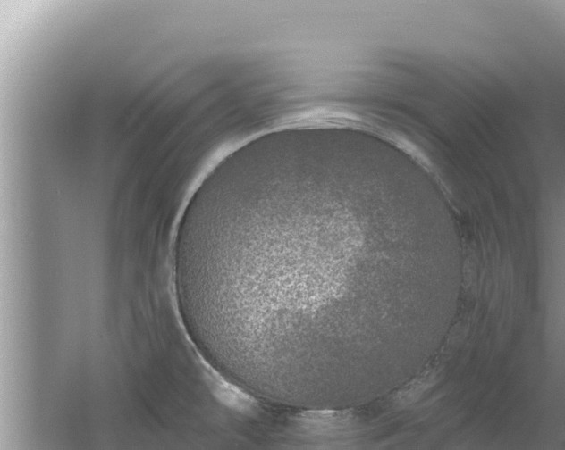 X0000060811478200511171255