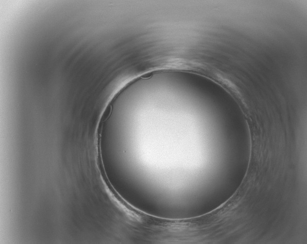 X0000060811479200511171255