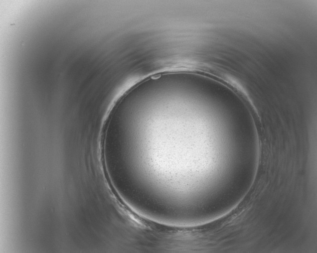 X0000060811480200511171255