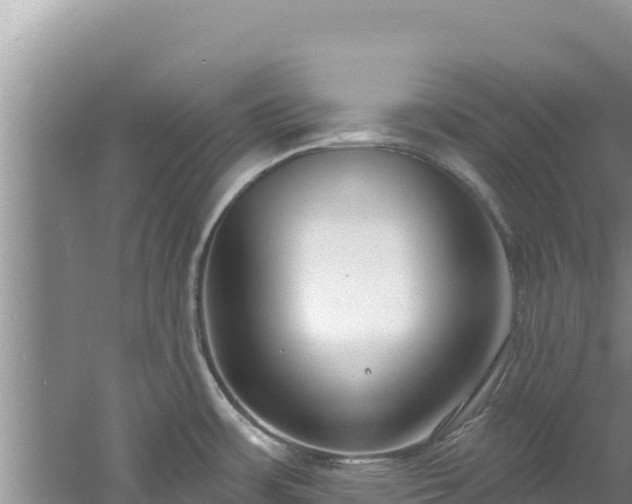 X0000060811483200511171255