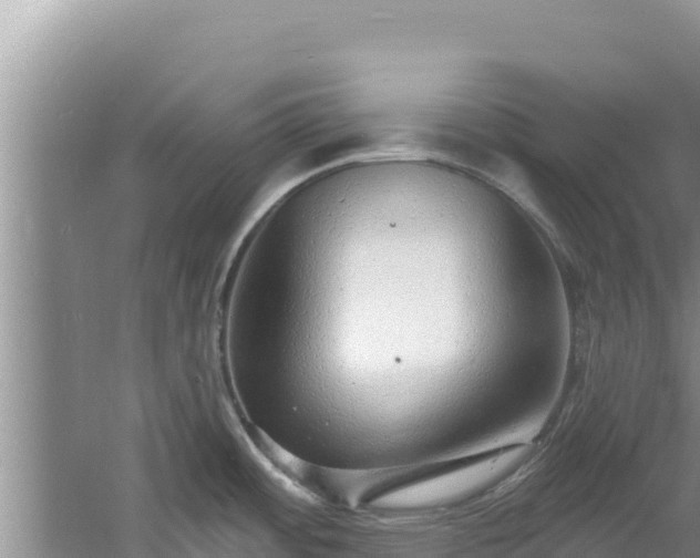 X0000060811484200511171255