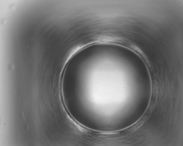 X0000060811487200511171255