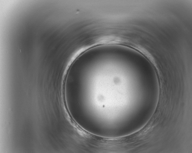 X0000060811488200511171255