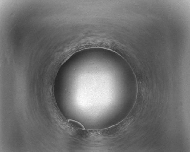 X0000060811489200511171254