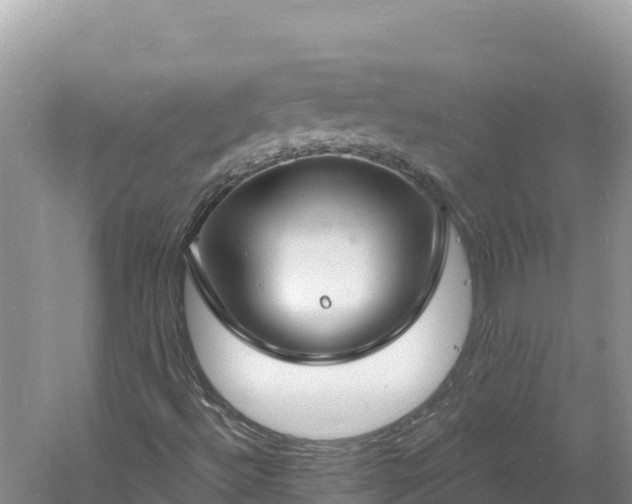 X0000060811492200511171254