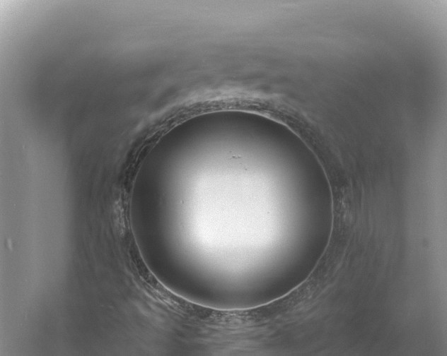 X0000060811493200511171254